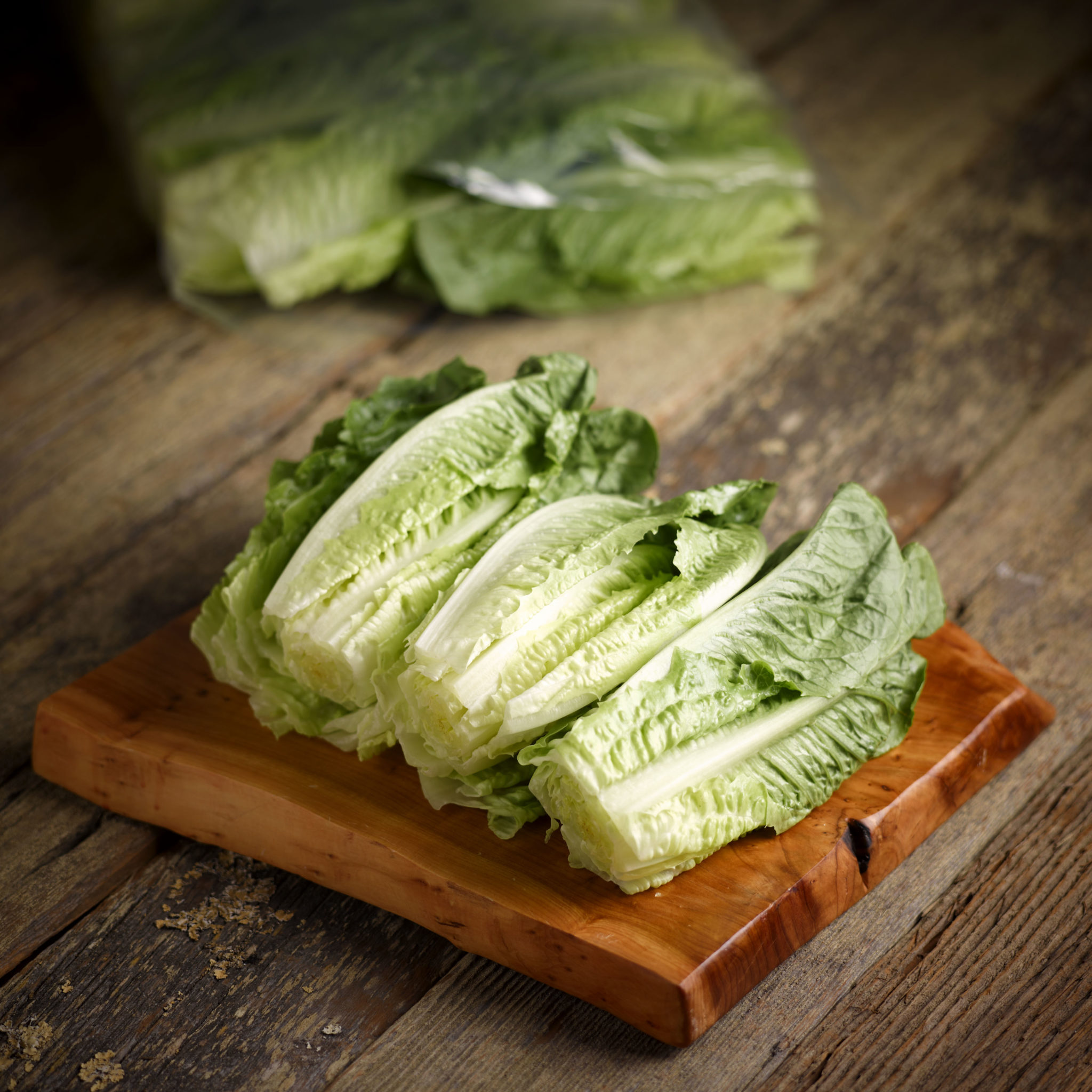 Lettuce & Leaf Balan Dividers